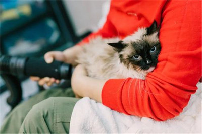 開一家寵物用品店需要多少啟動資金？