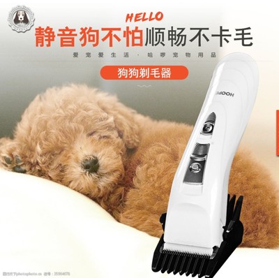 寵物用品 提升愛寵生活品質的必備選擇